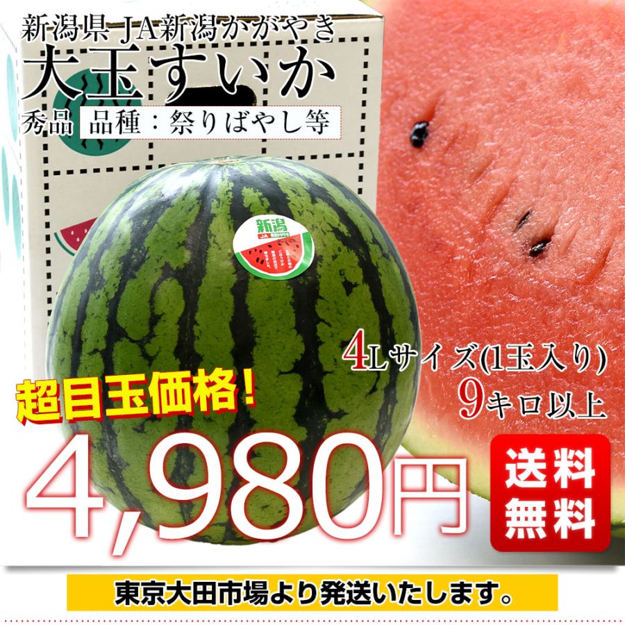 ルイ・イカール、湧き立つ喜び、豪華限定版・定価１０万３千円、新品額付 新潟県産 JA新潟かがやき 大玉すいか(祭りばやし等) 秀品 9キロ以上 4L