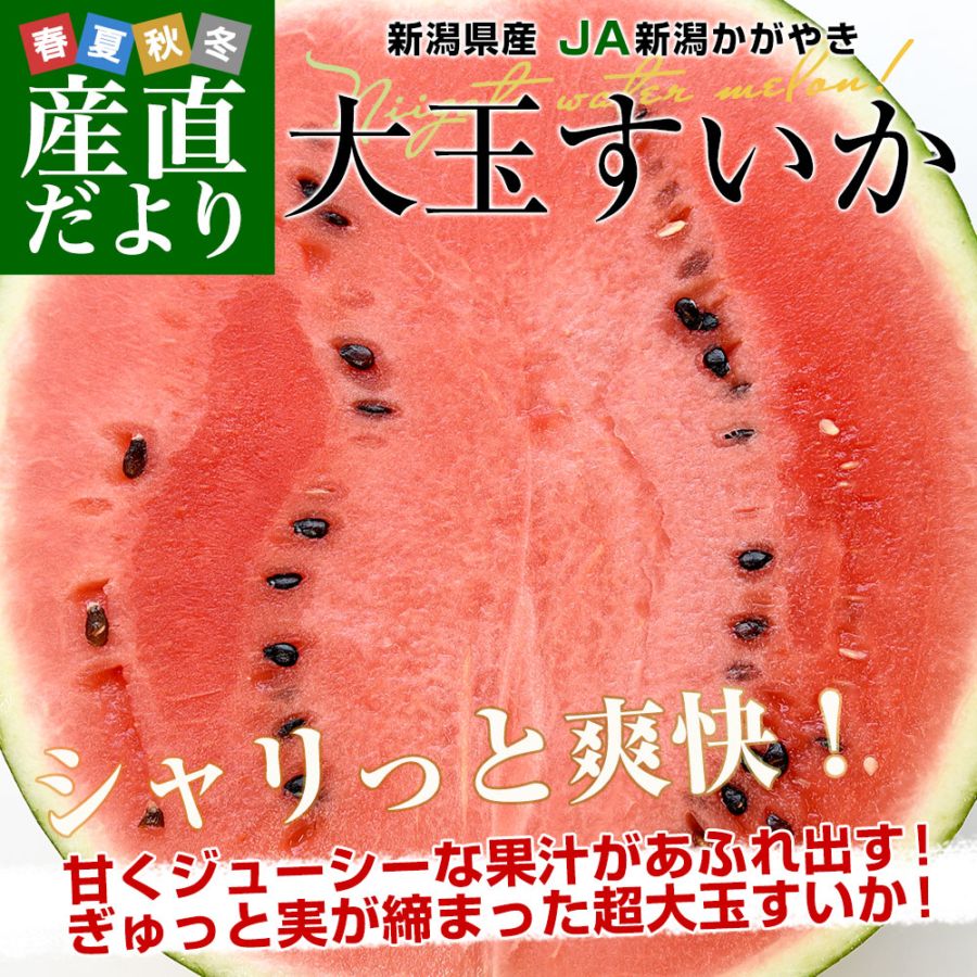 ルイ・イカール、湧き立つ喜び、豪華限定版・定価１０万３千円、新品額付 新潟県産 JA新潟かがやき 大玉すいか(祭りばやし等) 秀品 9キロ以上 4L