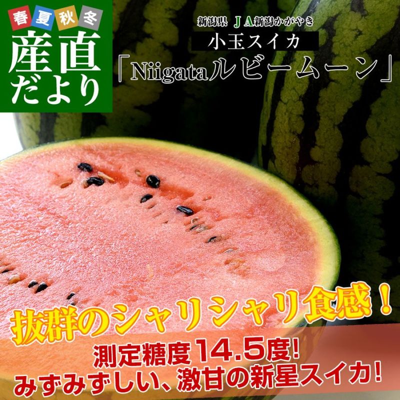 ���㸩 JA���㤫���䤭 ���̥�������Niigata��ӡ��ࡼ��׽��� ���3.2�����ʾ�(2������) ����̵�� �����٥����� ������ ���̤�����
