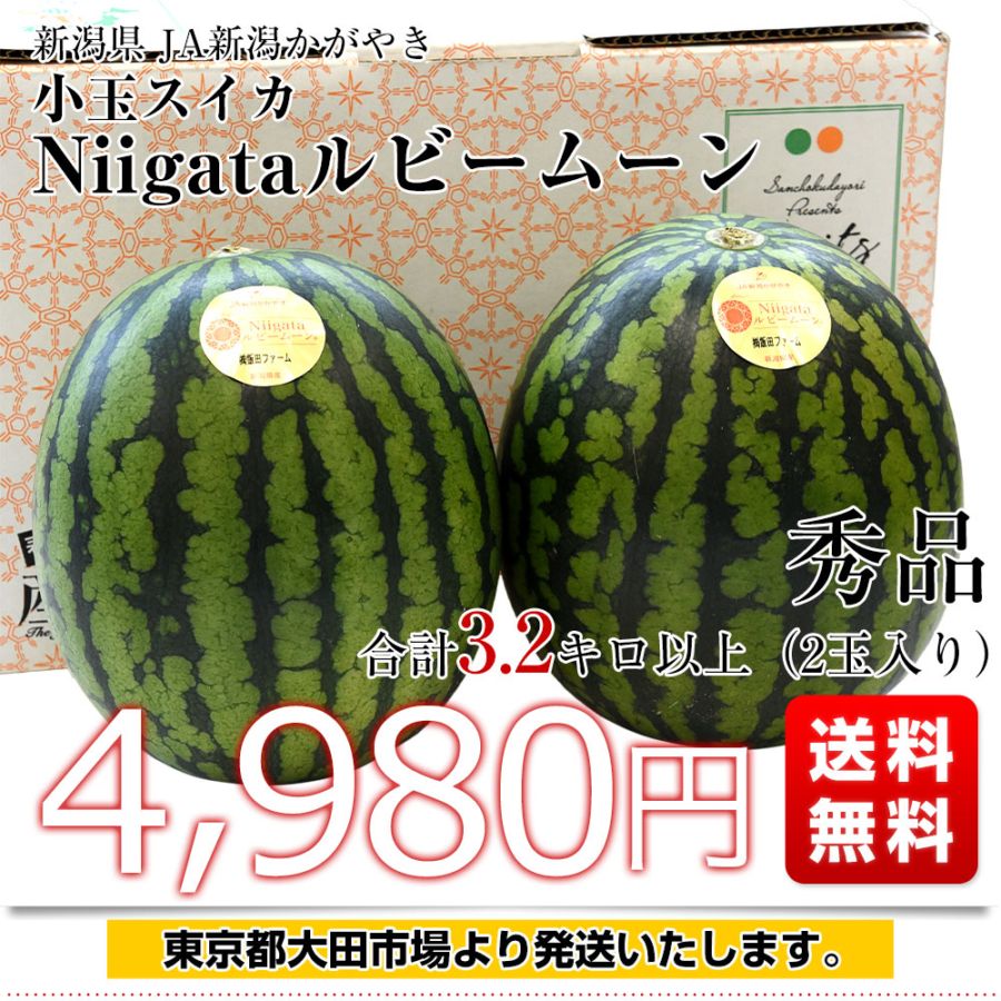 新潟県 JA新潟かがやき 小玉スイカ「Niigataルビームーン」秀品 合計