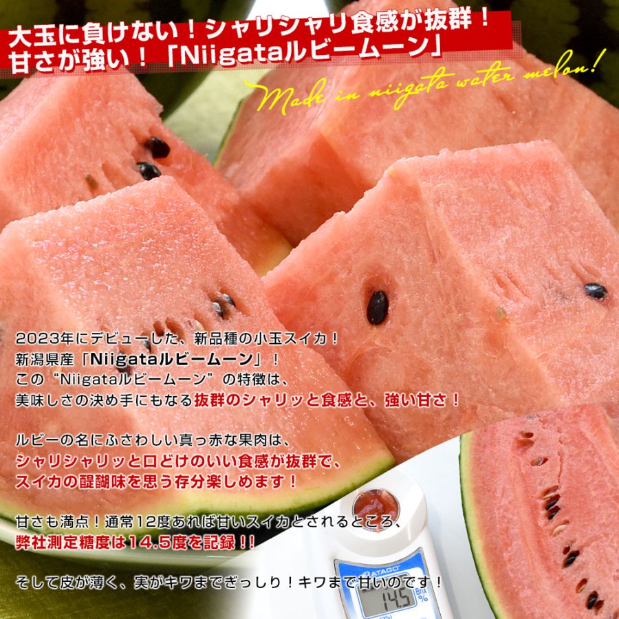 新潟県 JA新潟かがやき 小玉スイカ「Niigataルビームーン」秀品 合計