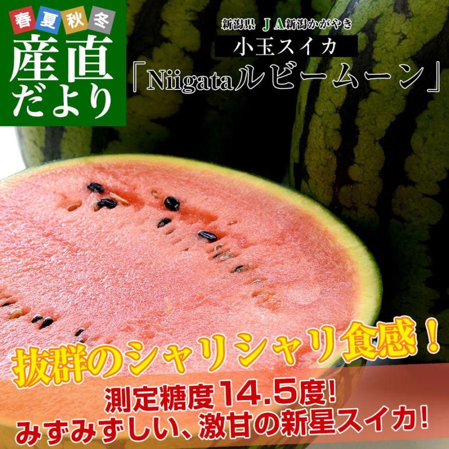 新潟県 JA新潟かがやき 小玉スイカ「Niigataルビームーン」秀品 合計