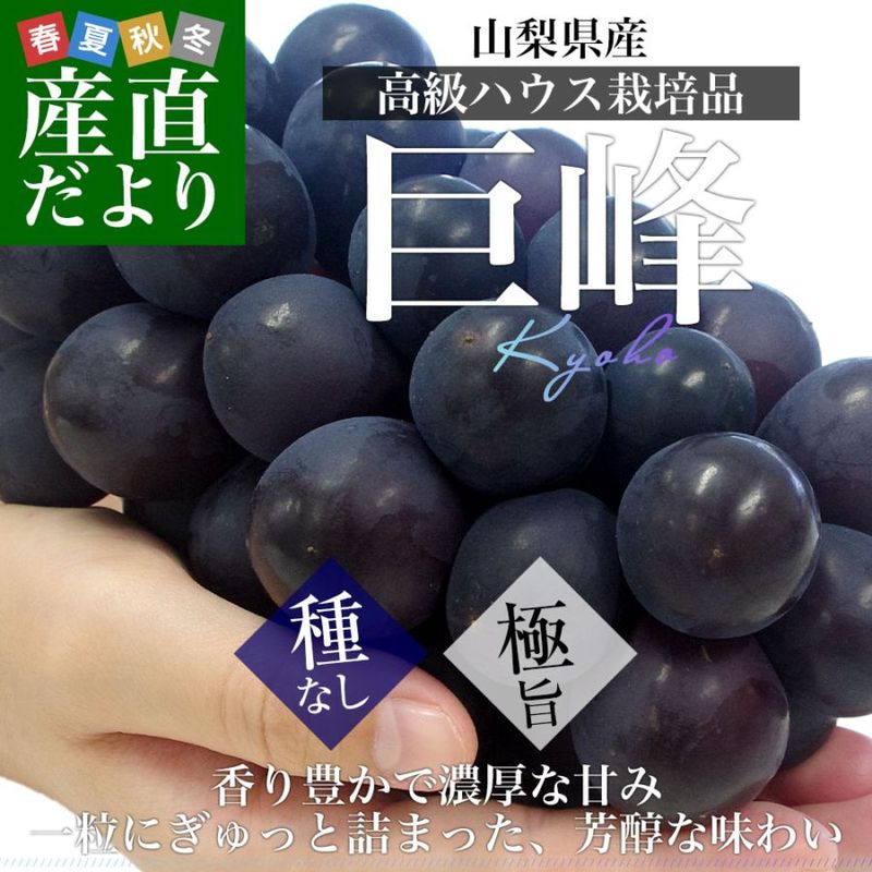 �ڤ��渵���ƥ��եȡۻ����������ϥ������� ��ʤ����� ��1���� (500g��2˼����) ����̵�� ��ƺ �֤ɤ����������� ���ե� ���渵