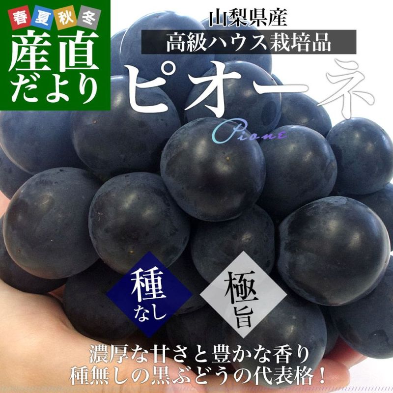 �ڤ��渵���ƥ��եȡۻ����������ϥ������� ��ʤ��ԥ����� ��1���� ��500g��2˼����� ����̵�� ��ƺ �֤ɤ����������� ���ե� ���渵