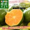 �彣���黺��ľ�� ���ܸ��� �������� ���꡼��ϥ����ߤ��� ����� M����S������ ��2������21�̤���30������˥ߥ��� ̪�� ����̵��