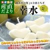 ���ڸ� JA�����Ȥ��� ���ʹ���ޤ���˭��� ���� ��1.8���� (5�̤���6��) ����̵�� �ʤ� �ʥ� �������� �ۤ�����