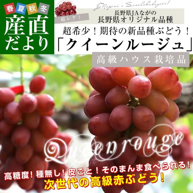 �ڤ��渵���ƥ��եȡ�Ĺ� JA�ʤ��� �ϥ��������� ��������롼���� ��1������2˼�� ����̵��  �֥ɥ� ��ƺ ���ե� ���渵