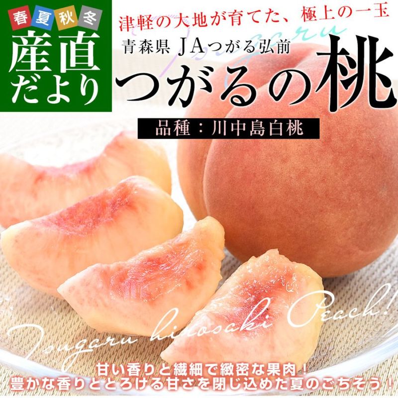 �Ŀ����� JA�Ĥ��빰�� �Ĥ������������������ ��2������6�̤���9�̡�����̵�� ��� ��� ��