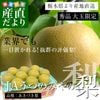 ���ڸ���껺��ľ�� JA���ĤΤߤ���� ��̸��� �����Ť��� 4L�������ʾ� ���� ��5���� (7�̤���12��) ����̵�� 