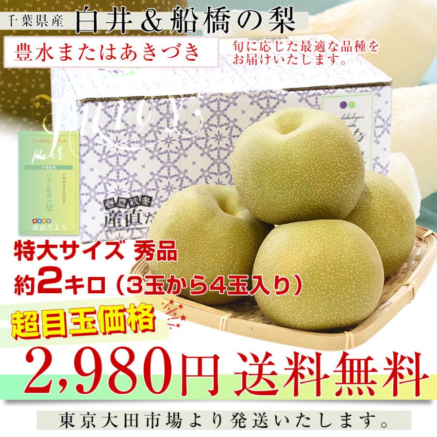 ③千葉県産/大〜特大サイズ/幸水 千葉県産 白井＆船橋の梨（豊水またはあきづき）秀品 特大サイズ 約2
