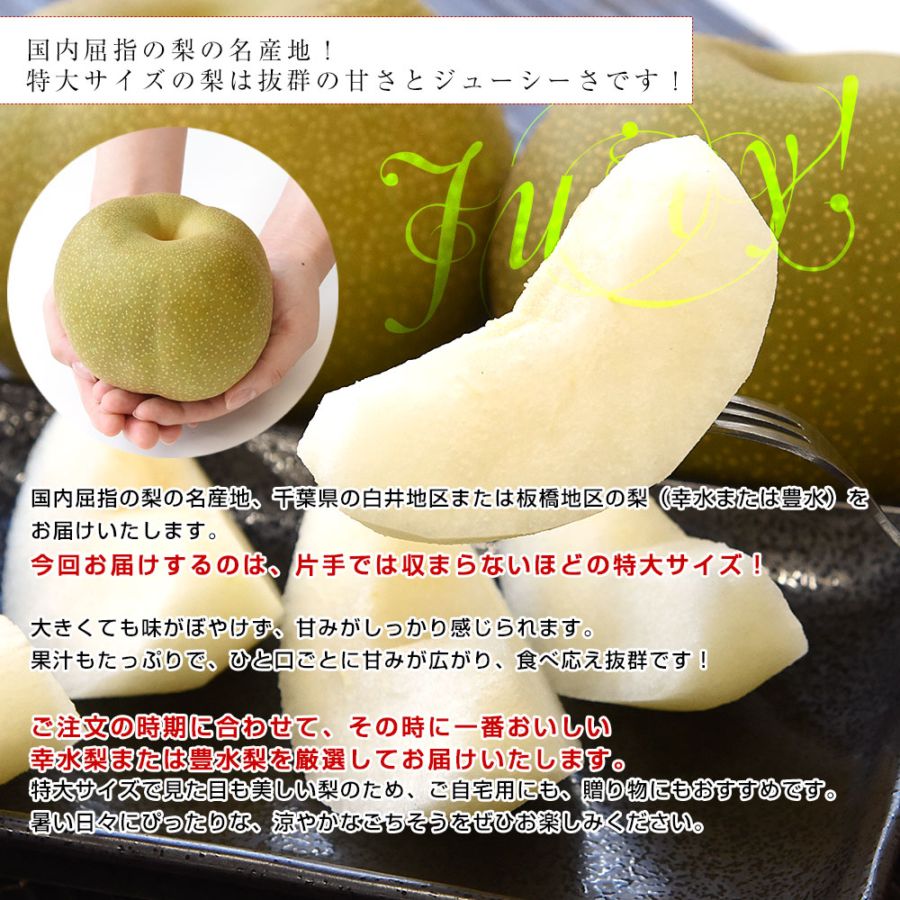 千葉県産 白井＆船橋の梨（豊水またはあきづき）秀品 特大サイズ 約2