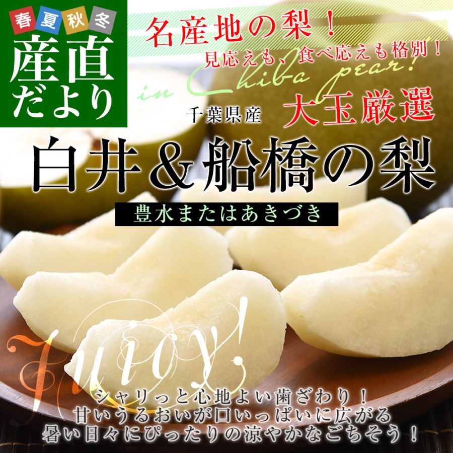 千葉県産 白井＆船橋の梨（豊水またはあきづき）秀品 特大サイズ 約2