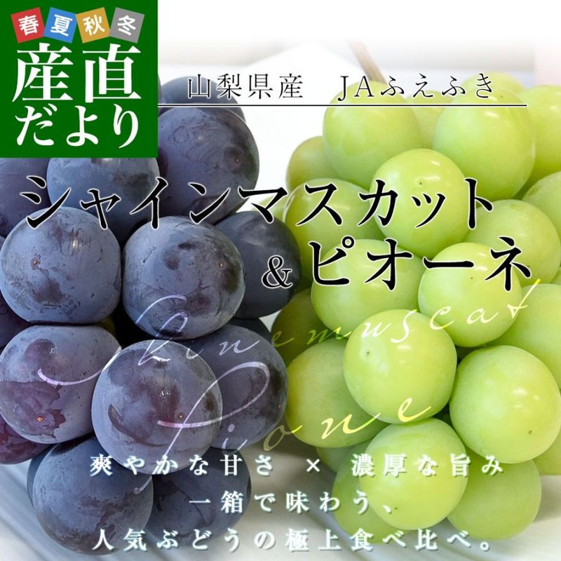 �������� ���㥤��ޥ����åȡ��ԥ����� �����1.1�����ʾ�(550g��2˼) ����̵�� �������� �֤ɤ����å� ���ե�