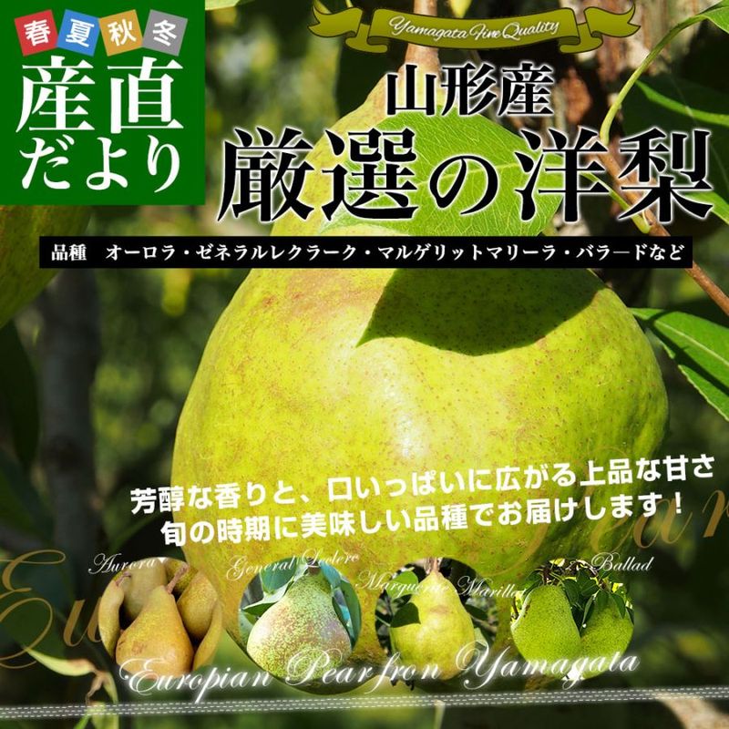 ��������껺��ľ�� ���������� �ʼ浪�ޤ����ʥ������顦���ͥ��쥯�顼�����ޥ륲��åȥޥ꡼�顦�Х顽�ɤʤɡ���3����(8�̤���12��) �������Τʤ� �Υʥ�