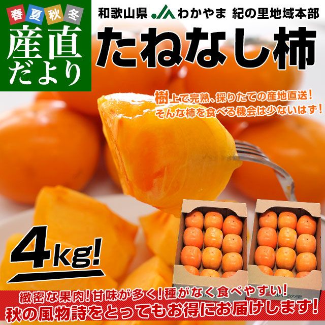 �²λ�����껺��ľ�� JA�狼��� ����Τ�ϰ����� ���ͤʤ��� ���4���� 2������2Ȣ (10�̤���12�������2Ȣ) ���� ���� ��  ����̵��