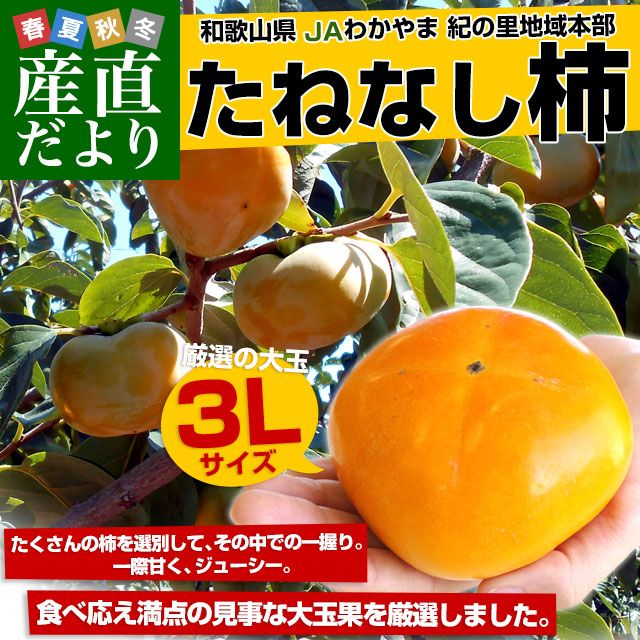 �²λ�����껺��ľ�� JA�狼��� ����Τ�ϰ����� ���ͤʤ��� ���3L������ 3.75����(14����) ���� ���� �� ����̵��