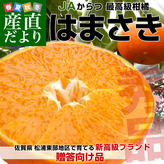 ���츩��JA����� �Ϥޤ��� ���� L����S������ ��2.5���� (12�̤���18������) ����̵�� ���� �ͺ�