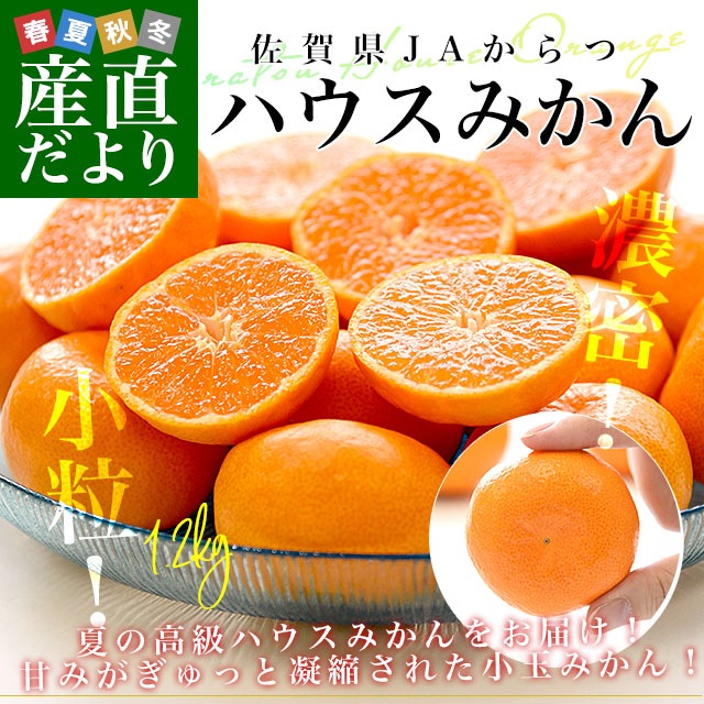 ともすけ♪5キロ♪大坊みかん♪3Sサイズ 先行予約】 【自然栽培法】大坊みかん 5kg 早生温州みかん【12月上旬