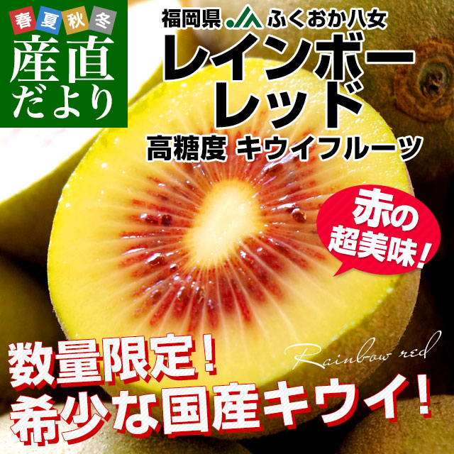 福岡県JAふくおか八女 レインボーレッドキウイ 約800g(9玉入) キウイ