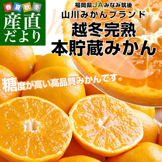 福岡県より産地直送 JAみなみ筑後 山川みかん 越冬完熟 本貯蔵みかん