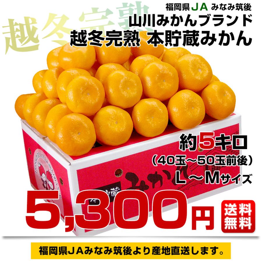 福岡県より産地直送 JAみなみ筑後 山川みかん 越冬完熟 本貯蔵みかん