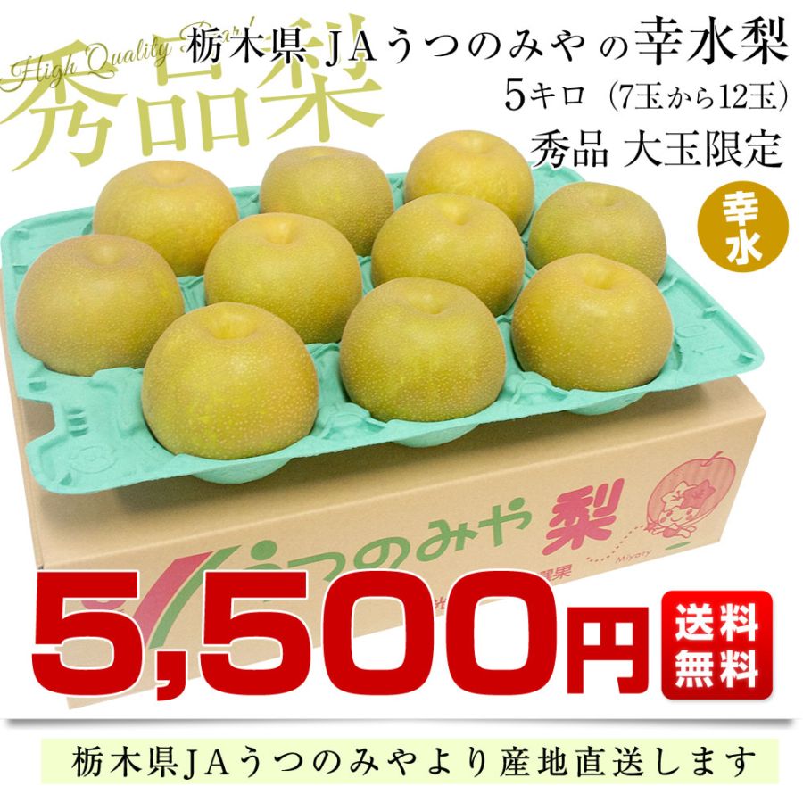栃木県より産地直送 JAうつのみやの梨 大玉限定 幸水梨4Lサイズ