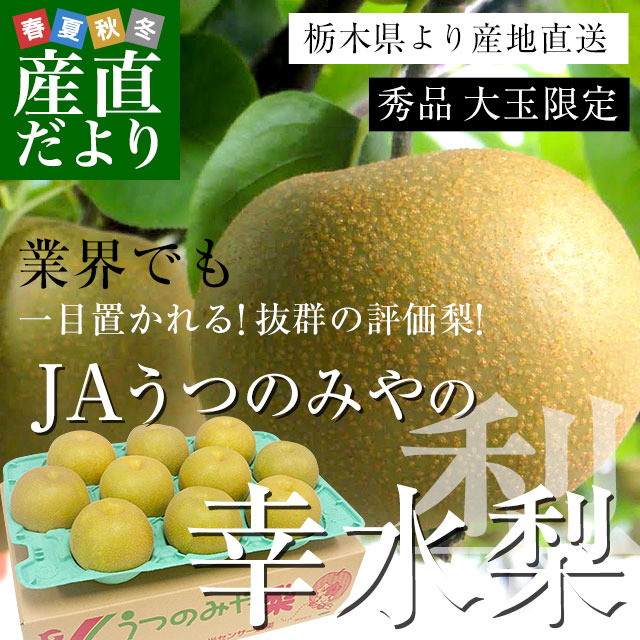栃木県より産地直送 JAうつのみやの梨 大玉限定 幸水梨4Lサイズ以上 秀