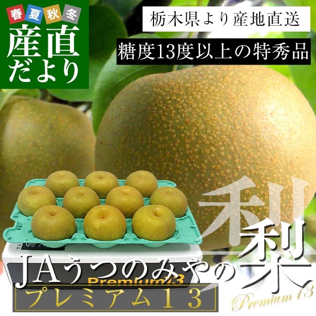 台湾のグァバ 取り苗 大木(Queen グァバ )花つき 大木 楽天市場