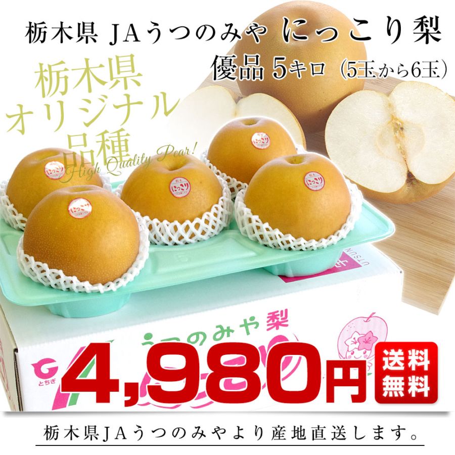 栃木県より産地直送 JAうつのみや にっこり梨 優品 5キロ (5玉から6玉