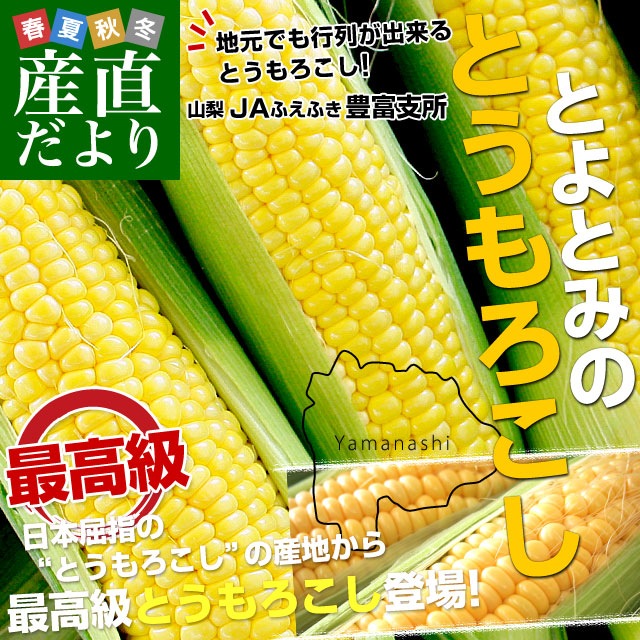 山梨県より産地直送 JAふえふき 豊富支所 とうもろこし (ゴールド