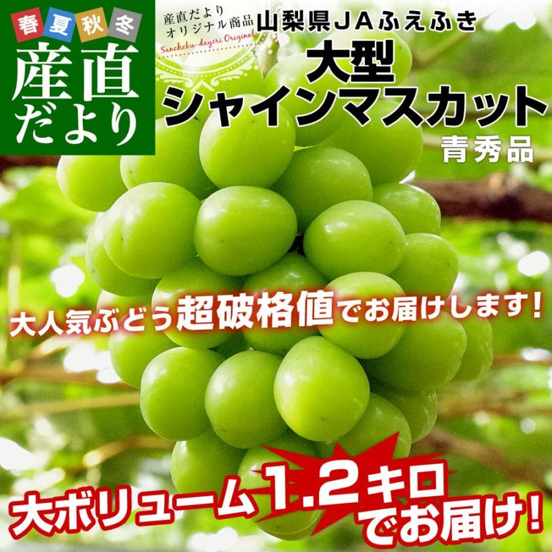 ����������JA�դ��դ� �緿���㥤��ޥ����å� �Ľ��� 1.2������2˼������̵�� �֤ɤ� �֥ɥ� ��ʤ��֤ɤ� ��������ȯ��