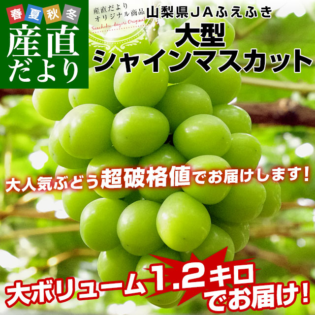 シャインマスカット大粒 6房 3キロ 秀品 山梨JAふえふき 大房・大粒限定│シャインマスカット JAふえふき│豊洲市場
