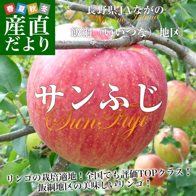 長野県産 JAながの 飯綱地区 サンふじ 赤秀以上 5キロ (12玉から20玉