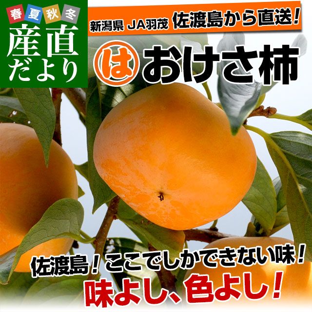 ���㸩��껺��ľ�� ������ JA���� �������� 3.75���� 2L����M������(14�̤���20��) �� ����  ����̵��