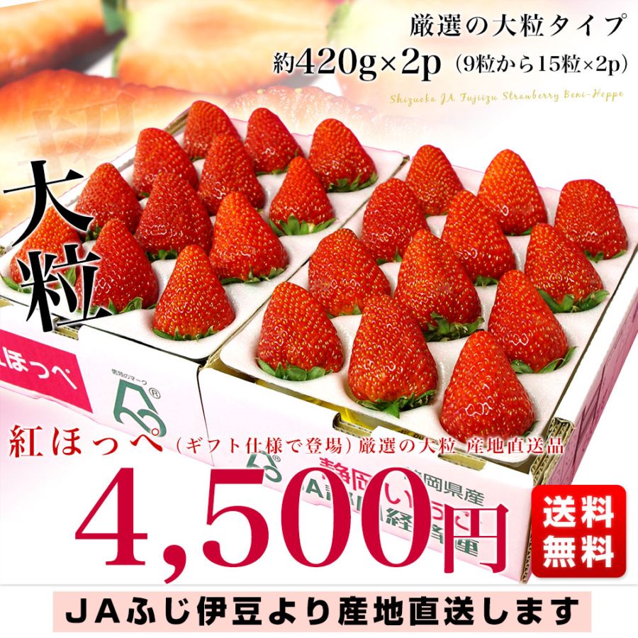 静岡県より産地直送 JAふじ伊豆 紅ほっぺ 大粒約420g×2p (9粒から15粒