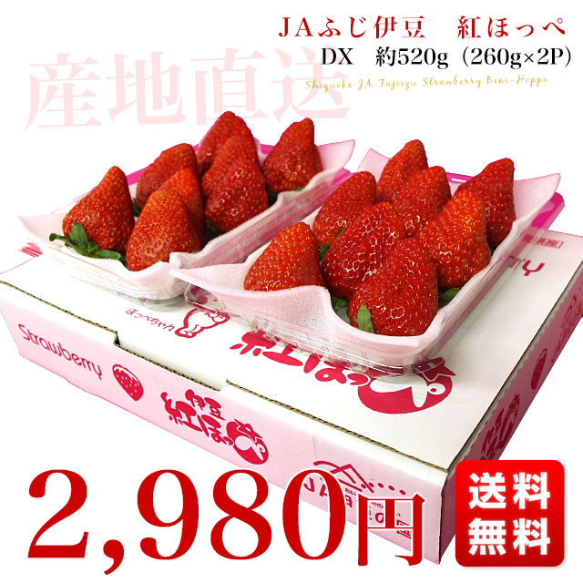 いちごページ　11/24以降 2026.1.10～いちご狩りA4（裏）-