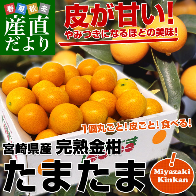 �ܺ긩���黺��ľ�� JA�ߤ䤶���ܺ�����϶����� ���ޤ��� 2L������ 1���� (��40��) ����̵�� ���󤫤� �ⴻ ���Ϥ��󤫤�