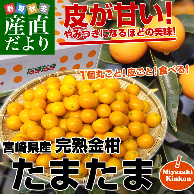 �ܺ긩���黺��ľ�� JA�ߤ䤶���ܺ�����϶����� ���ޤ��� 2L������ 3���� (��120��) ����̵�� ���󤫤� �ⴻ ���Ϥ��󤫤� ����̵��