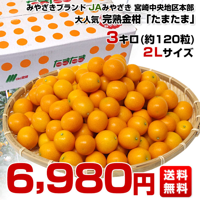 宮崎県から産地直送 JAみやざき宮崎中央地区本部 たまたま 2Lサイズ 3