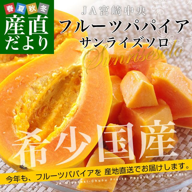 宮崎県より産地直送 JA宮崎中央 フルーツパパイア サンライズソロ 3L