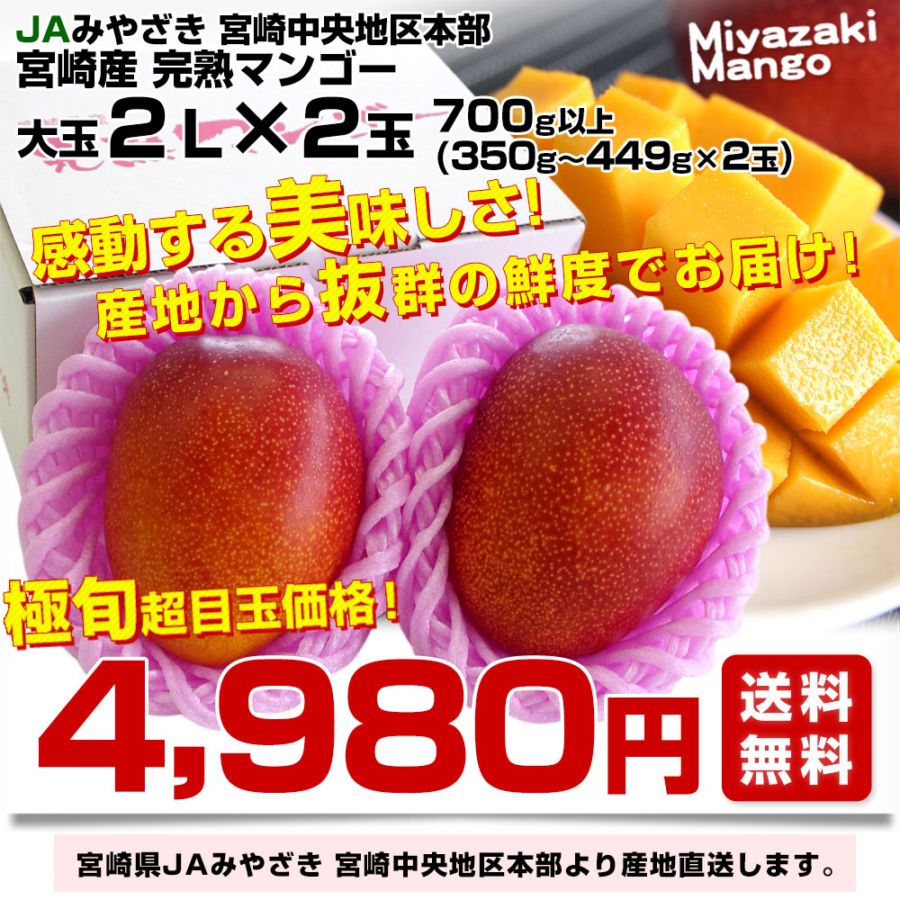 宮崎県より産地直送 JAみやざき 宮崎中央地区本部 宮崎完熟マンゴー 2L