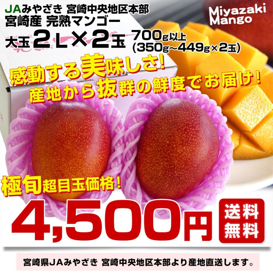 宮崎県より産地直送 JAみやざき 宮崎中央地区本部 宮崎完熟マンゴー 2L