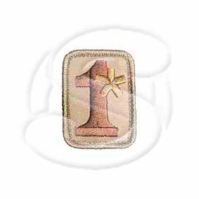 �ѥå� 1* Assterisk �ɽ� Desert patch-00114-desert �ߥ륹�ڥå���󥭡�