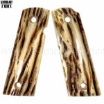 GM�� �����å��ۡ��� �ե���������å� ������