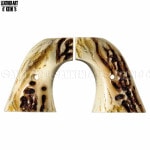 �ϡ��ȥե������� SAA�� �����å��ۡ��� �ե���������å� ������