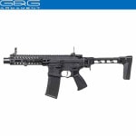 ��ư���� FAR 556  EGC-FAR-556-BNB-NCS G&G