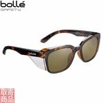 STKS410 �и��������� BROWN TORTOISE STK41N54A �ܥ졼