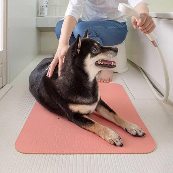 ペットのシャンプー快適マット45×55cm（AA-20） | ペットグッズ