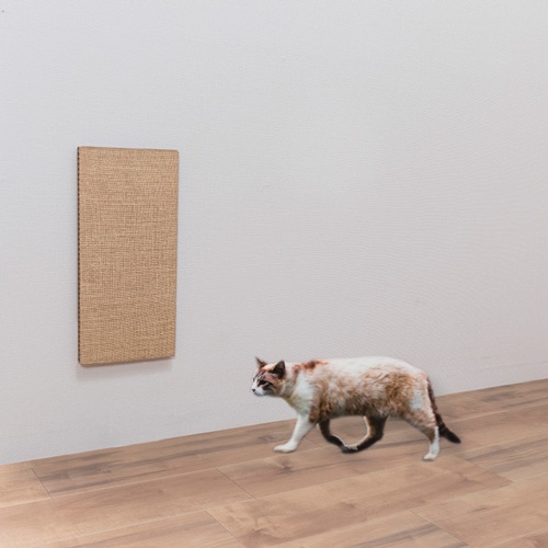 �����ɤ�Ž���ǭ�ΤĤ�Ȥ�����(KV-88)