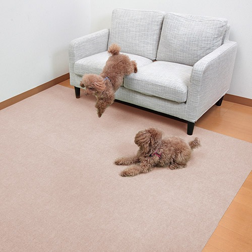 ��������������󥰥ޥå�60��600cm